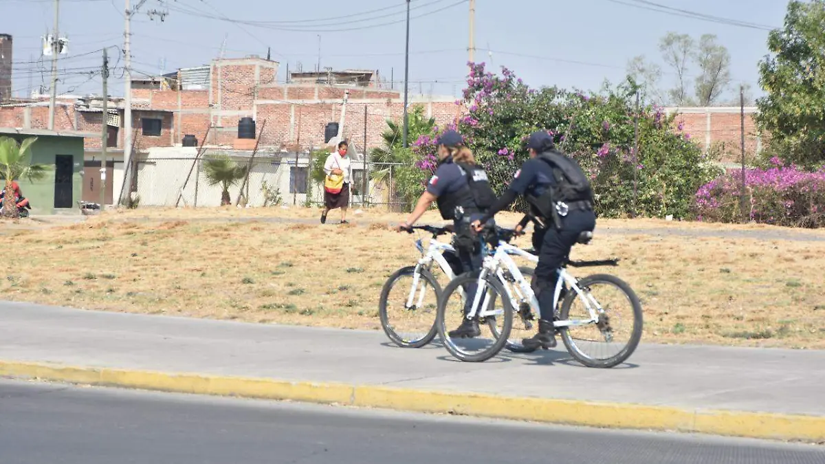 a6a1c174-2773-49e5-8189-5a8a505b40a9