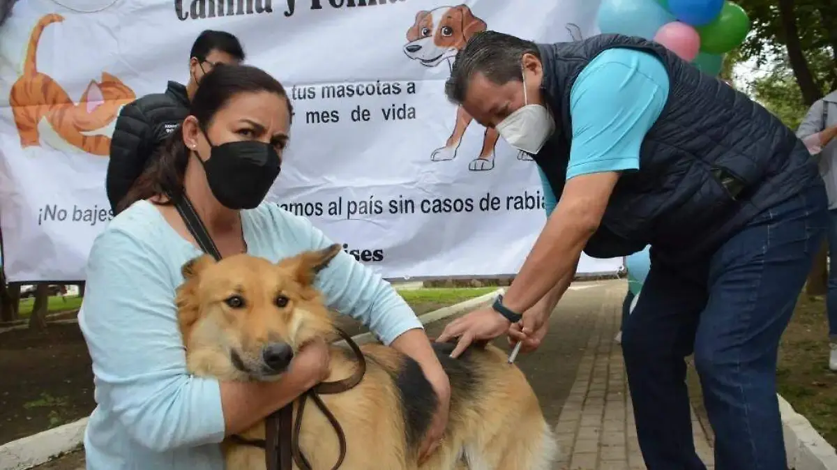 JORNADA DE VACUNACIÓN CANINA Y FELINA SERA DEL 25 DE SEPTIEMBRE AL 1 DE OCTUBRE  (1)