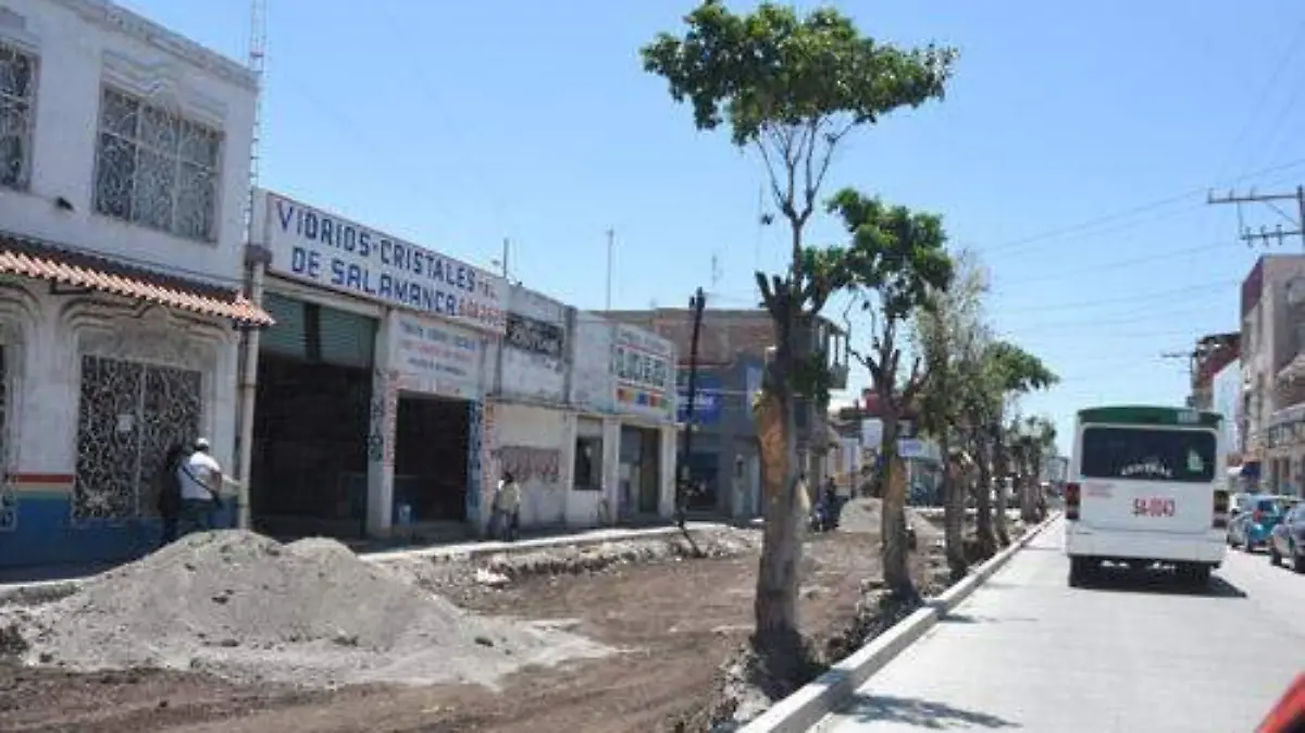 ÁRBOLES