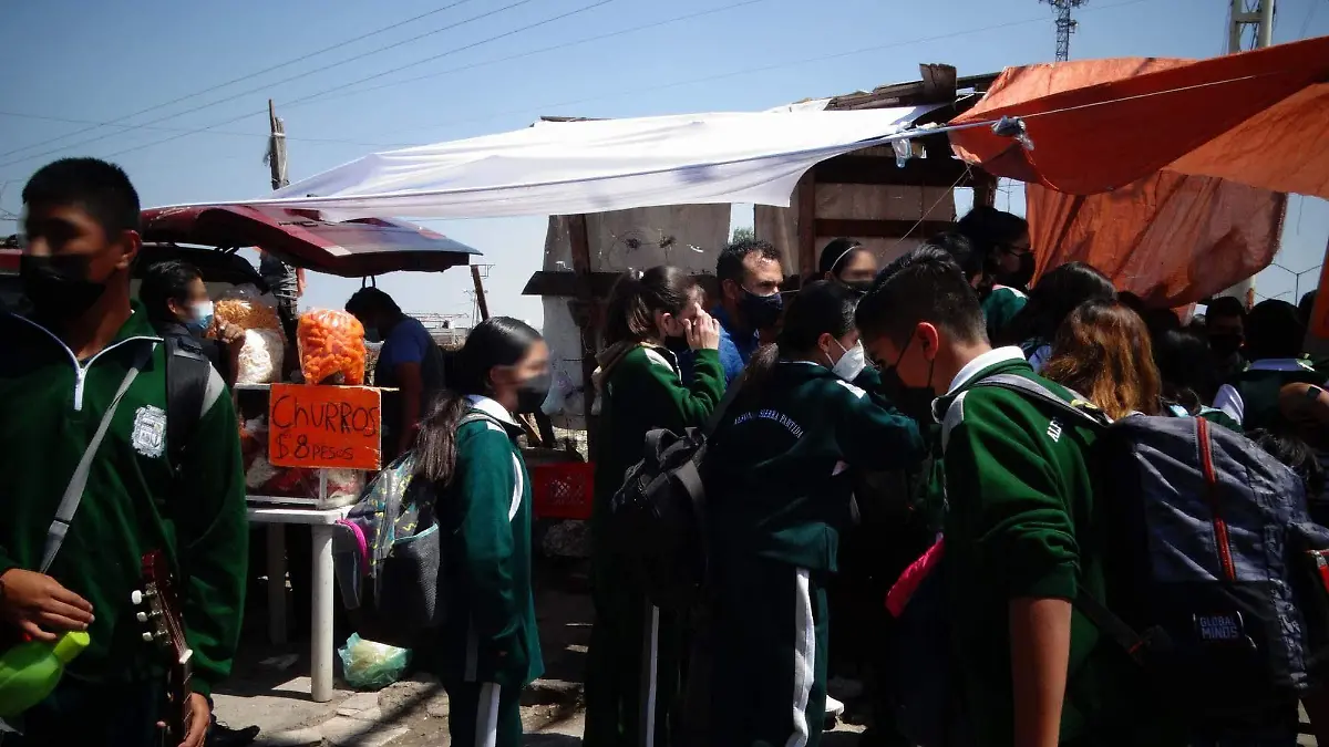 Colocacion de Biologico (2)