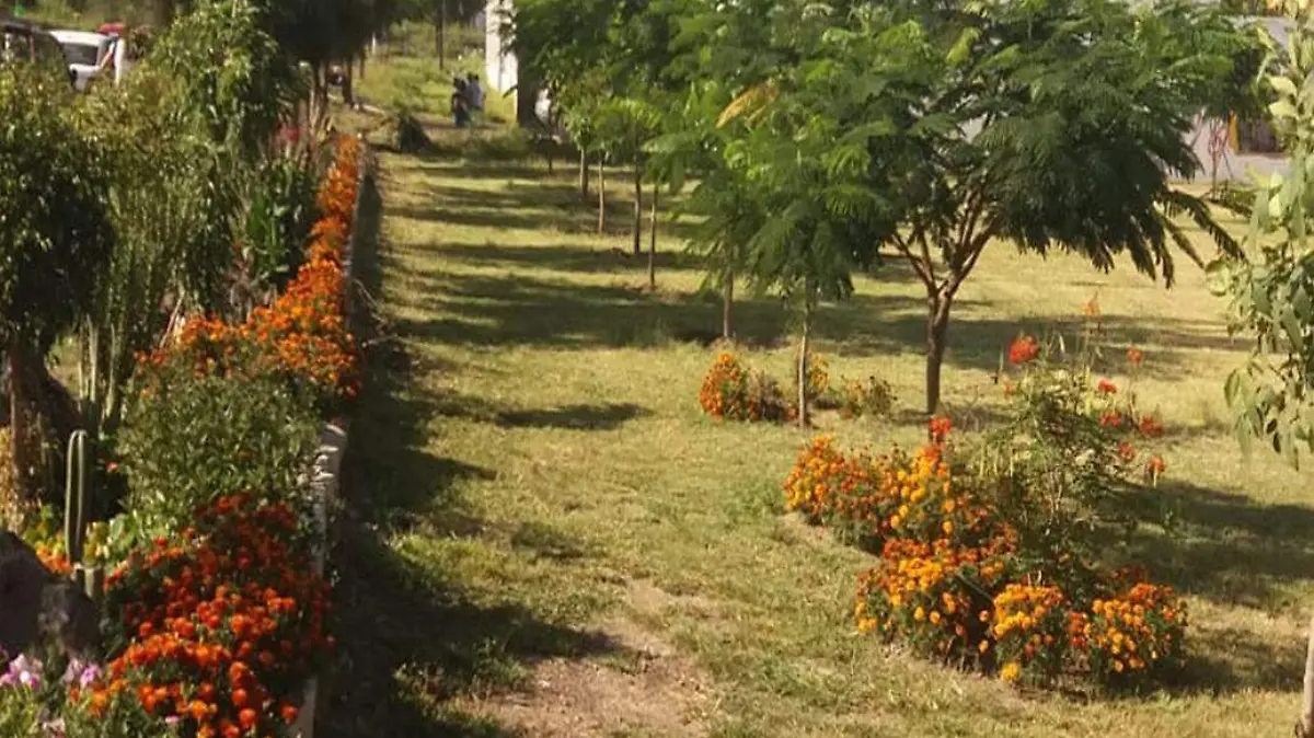 Espacios-públicos-Molinito  (2)