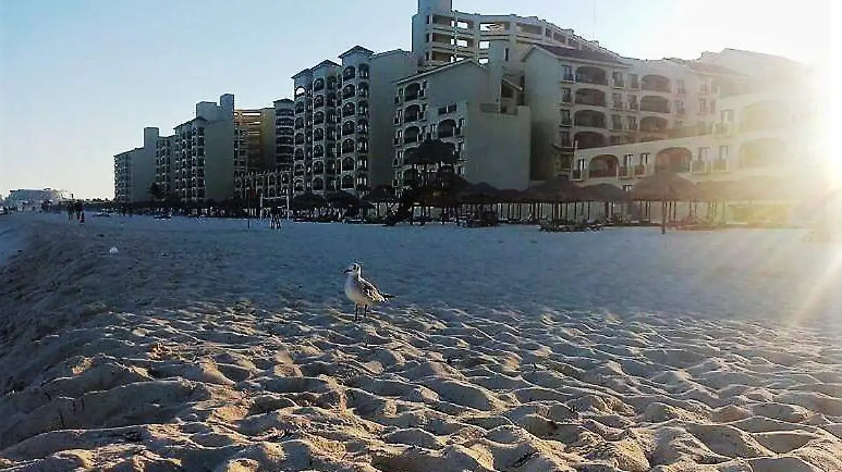 VACACIONES DEJAN INGRESOS A AGENCIAS DE VIAJES (1)