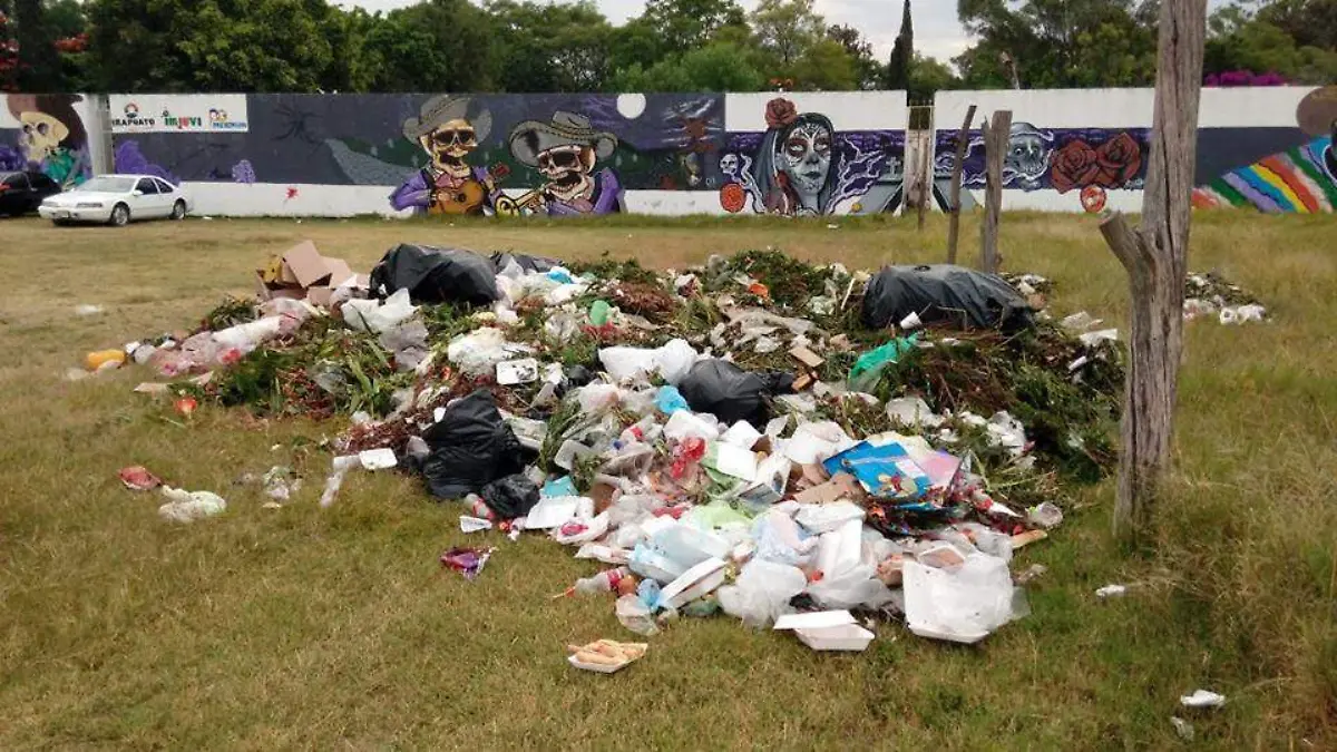 Basura Panteones (3)