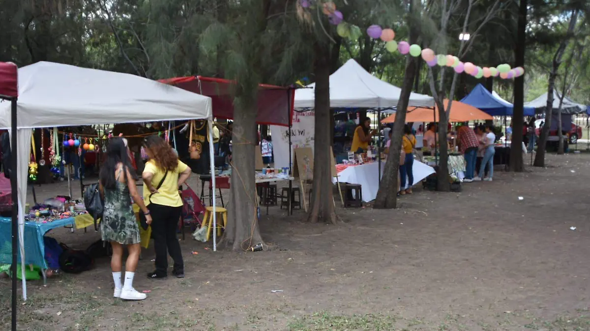 manos salmantinas (1)