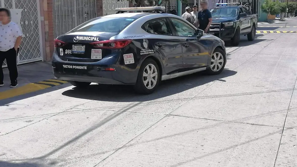 Enrejado