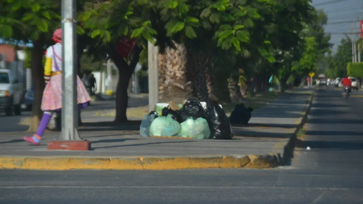 Basura (2)