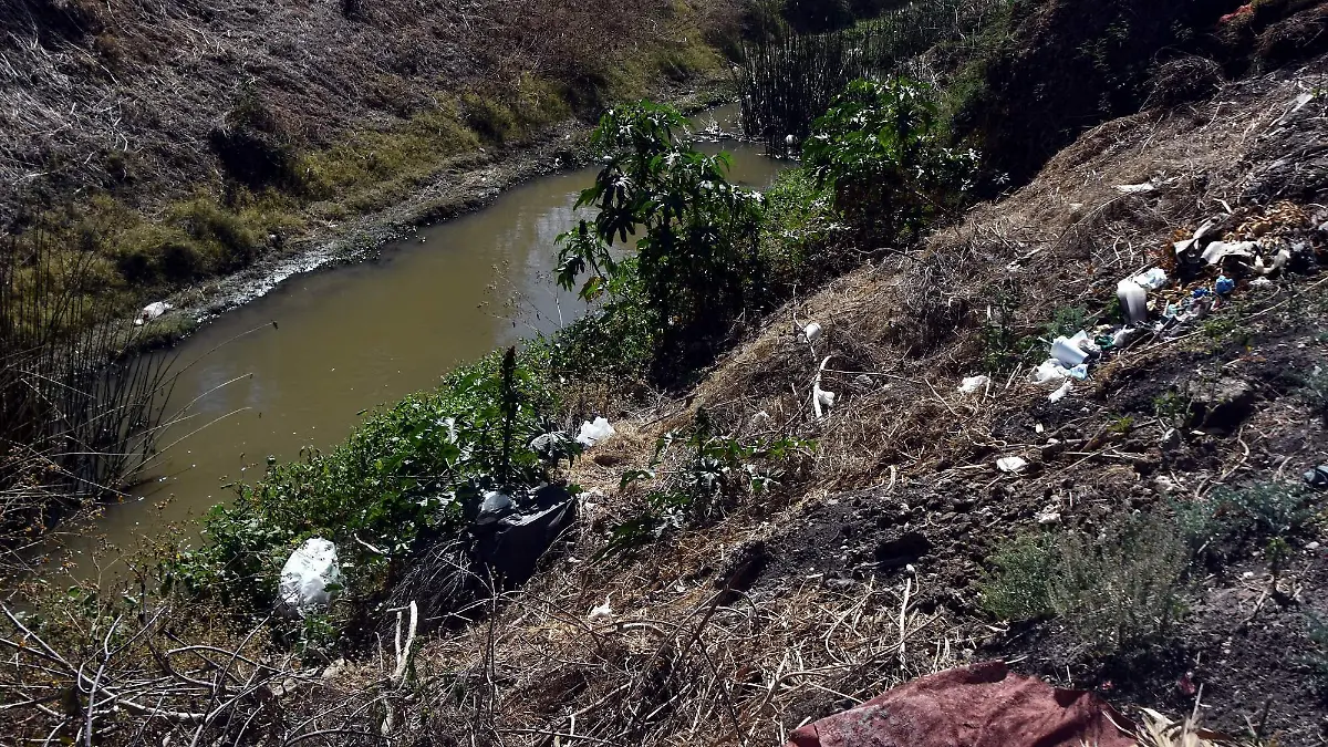 Saturados-de-basura-4