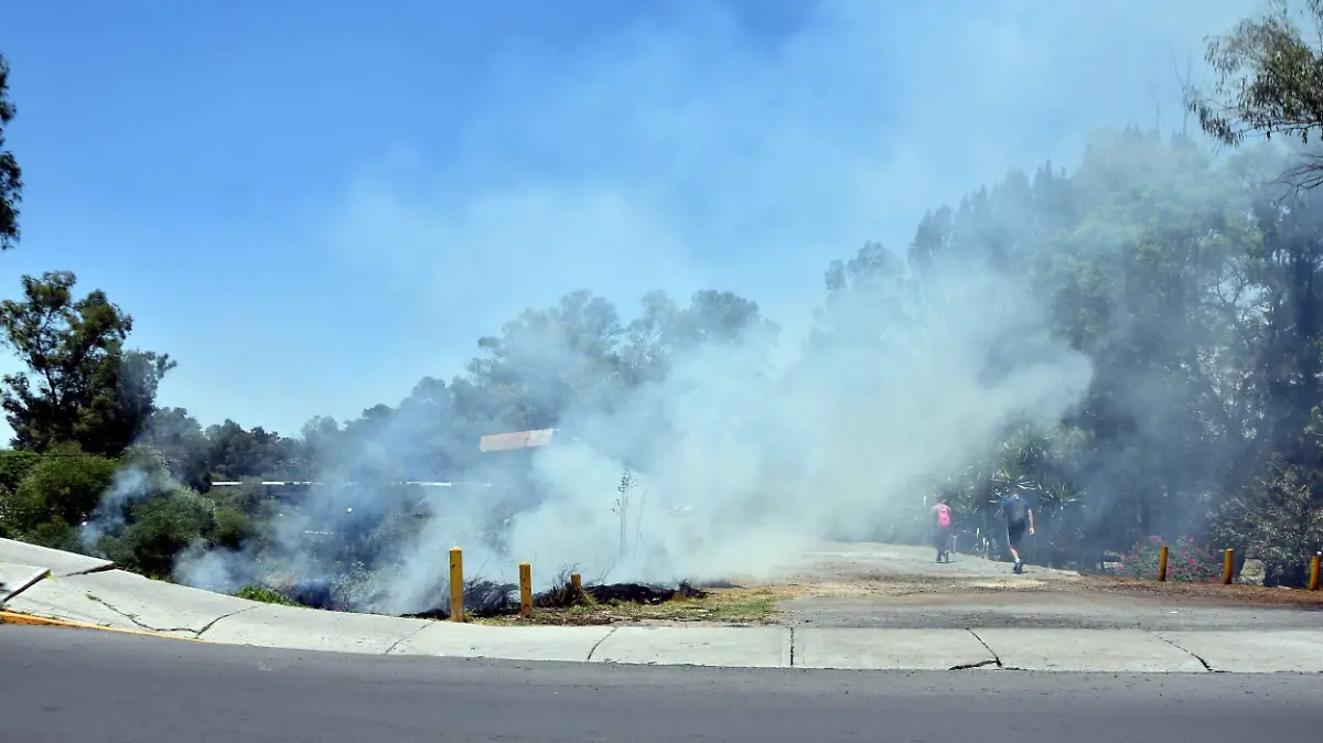 Piden-denunciar-quemas