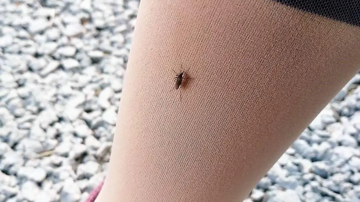 REALIZAN-ACTIVIDADES-DEPORTIVAS-CON-PLAGA 