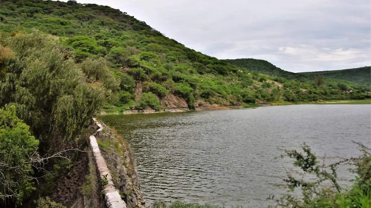 BENEFICIAN LLUVIAS AL CAMPO 1