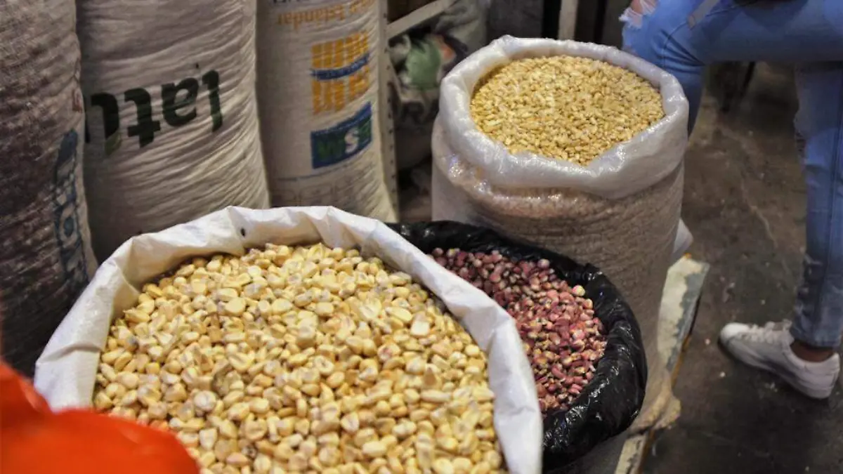 SUBE PRECIO DEL GRANO DE MAIZ (3)