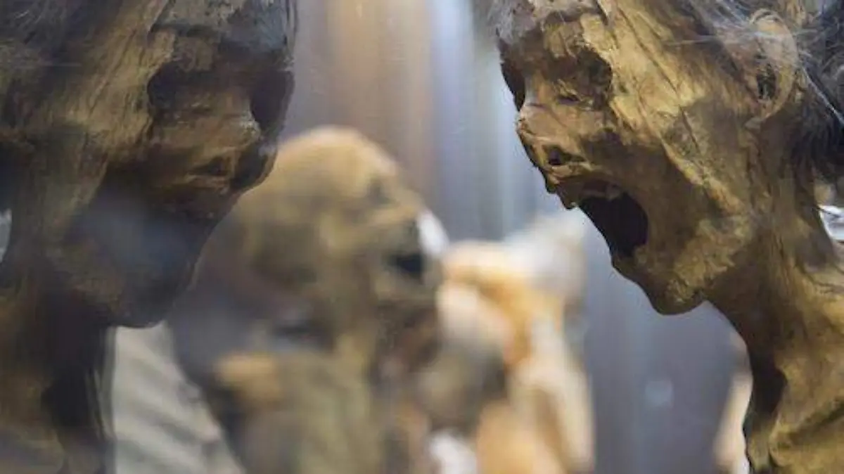 Guanajuato.- OCURRENCIAS PONEN EN RIESGO A LAS MOMIAS (5)