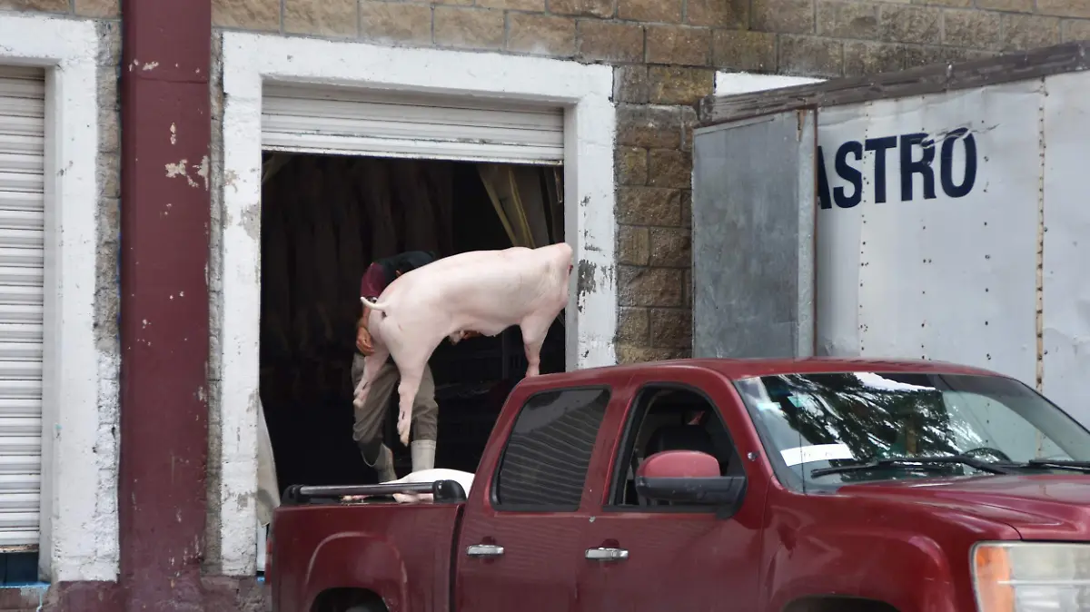 Rastro-3