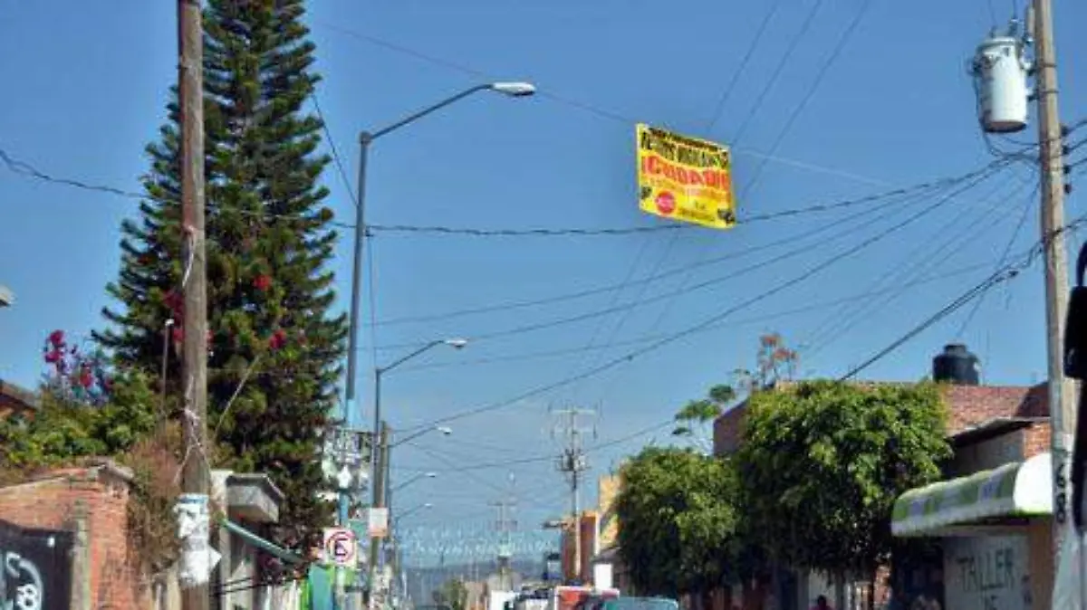 Organizan (1)