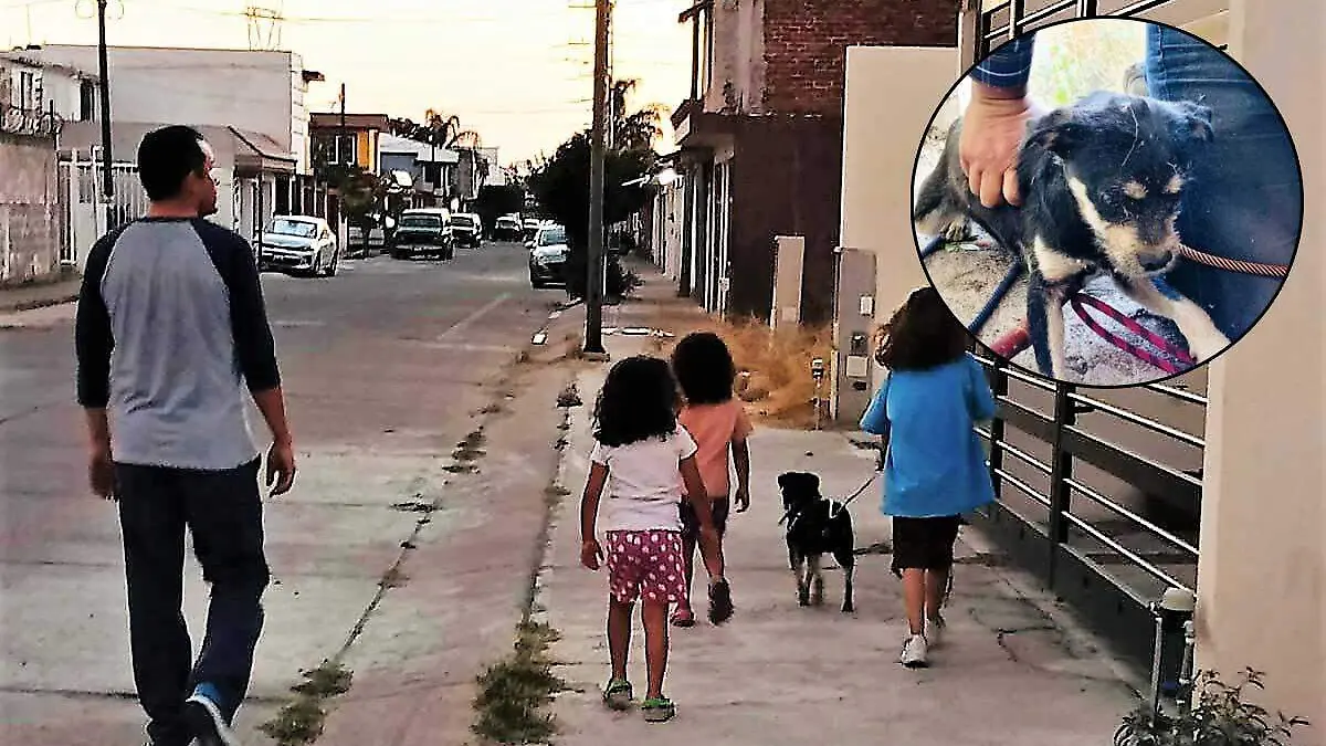  Horacio-tiene-nueva-familia  (2)