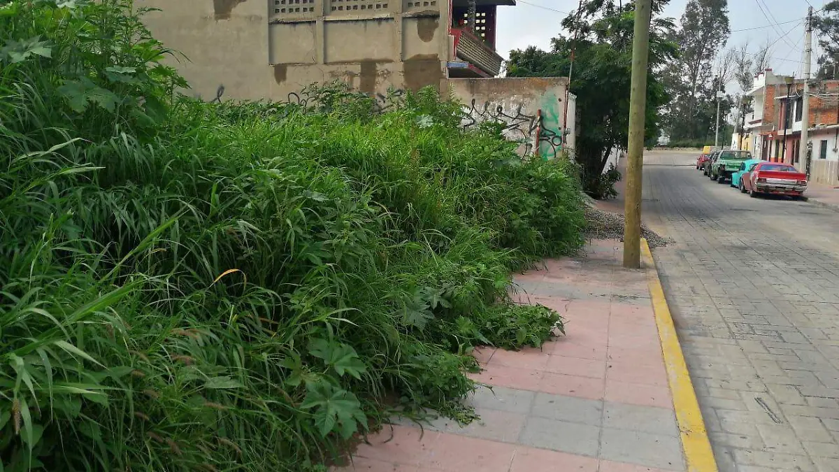 Piden atender baldío ubicado cerca de una escuela 2