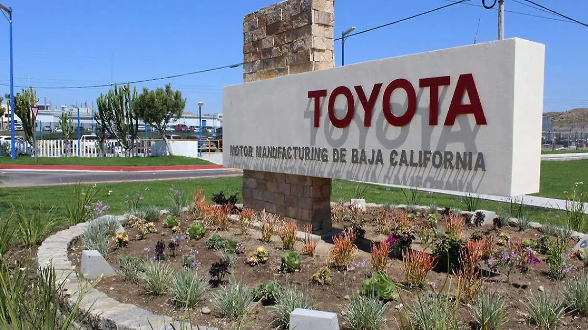 WhatsApp Image 2020-09-17 at 16.16.55