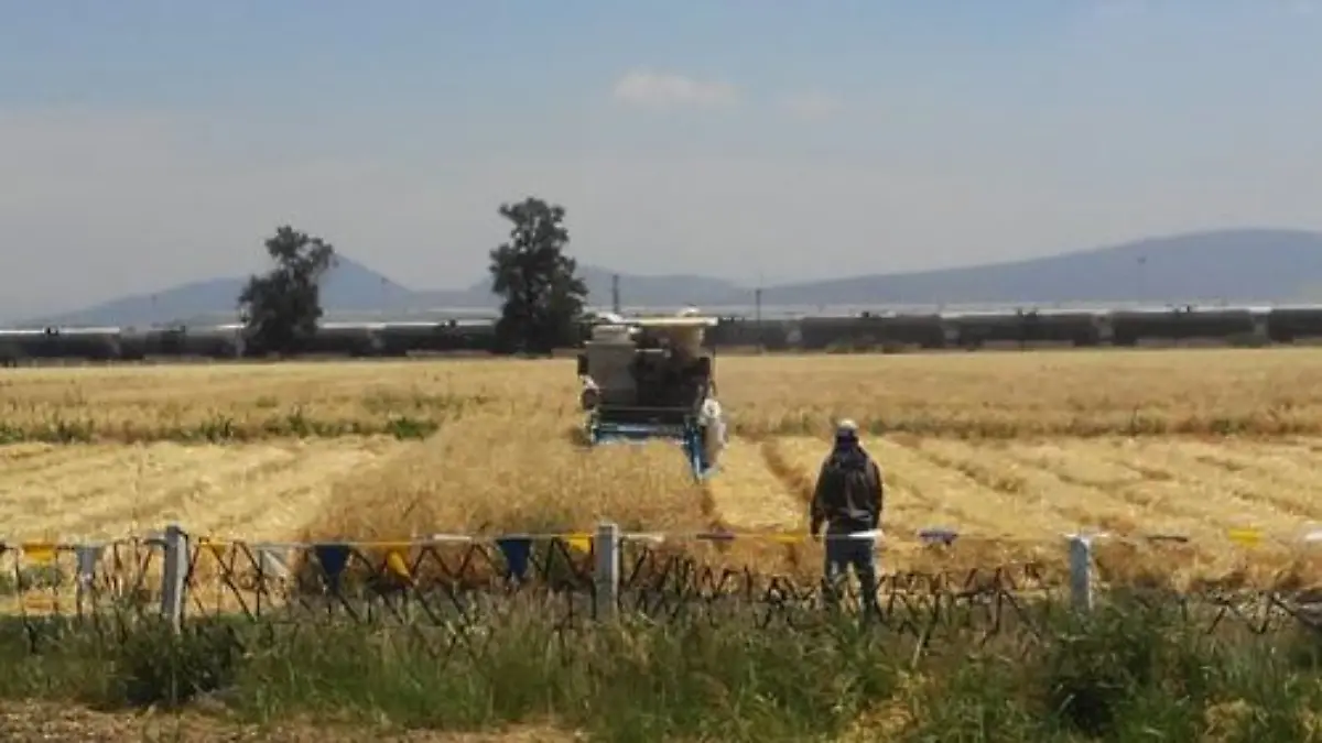 WhatsApp Image 2017-06-01 at 10.44