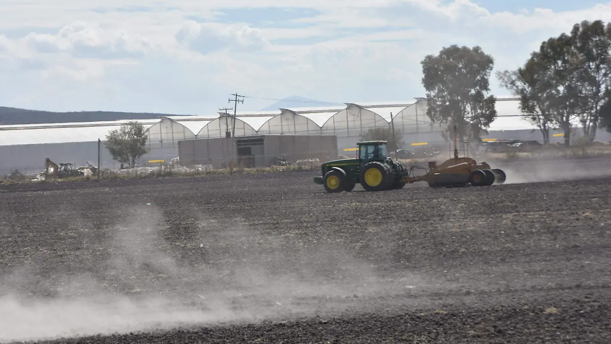 campo  (1)