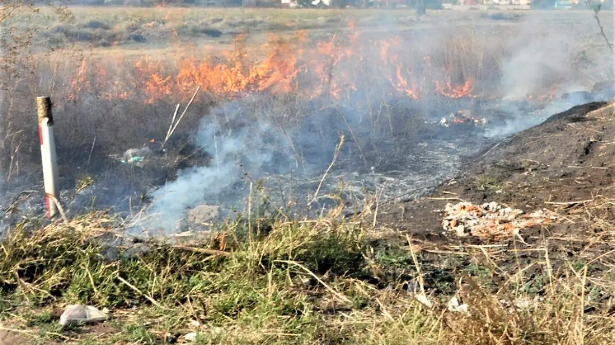 SE INTENSIFICAN INCENDIOS EN PREDIOS EN ZONA PONIENTE 1