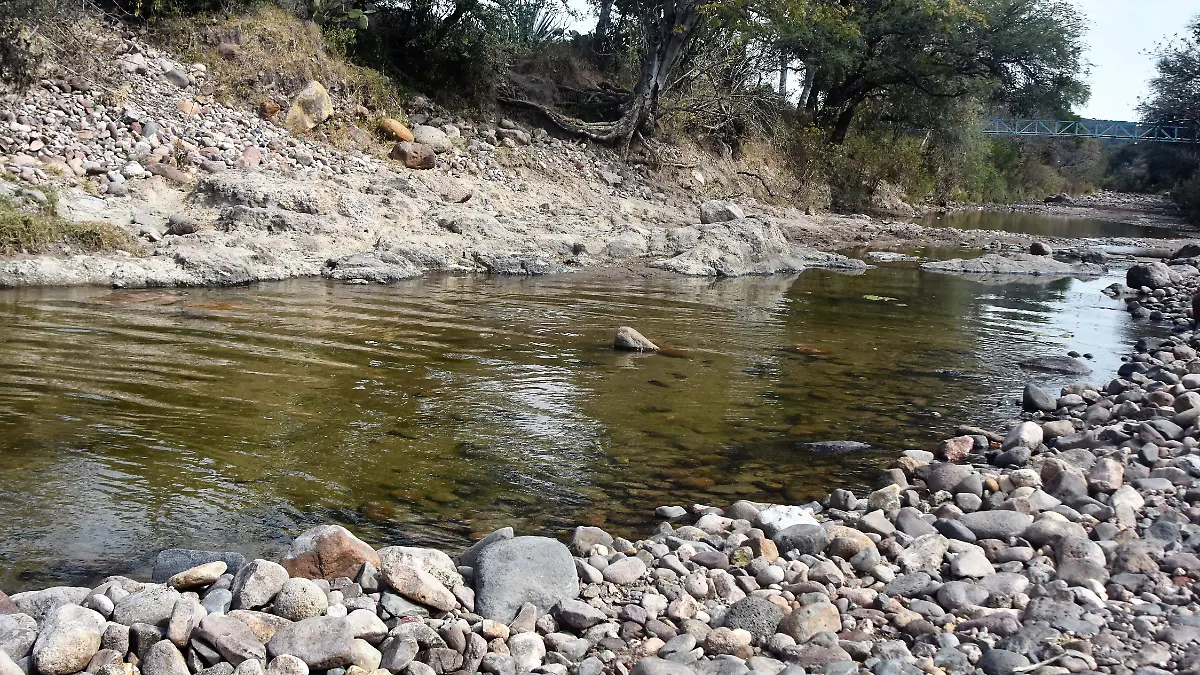 IMPORTANTE REFORESTAR PARA AYUDAR A LOS MANTOS ACUIFEROS (1)