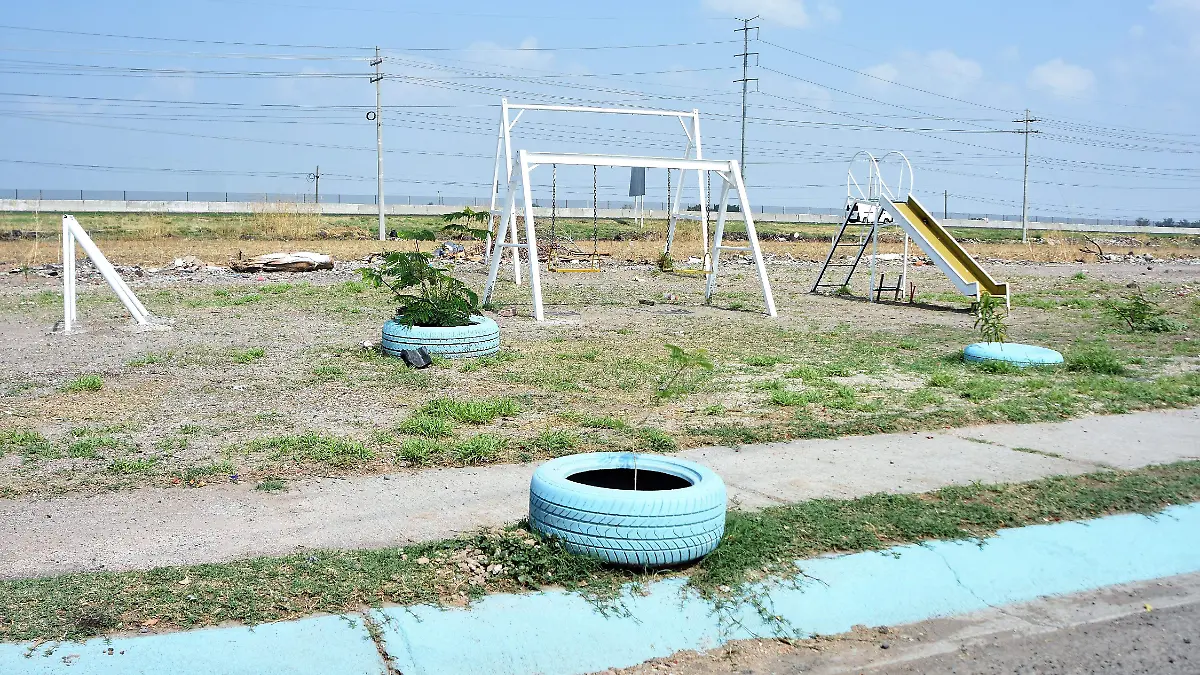 Retiran-maleza-de-la-colonia