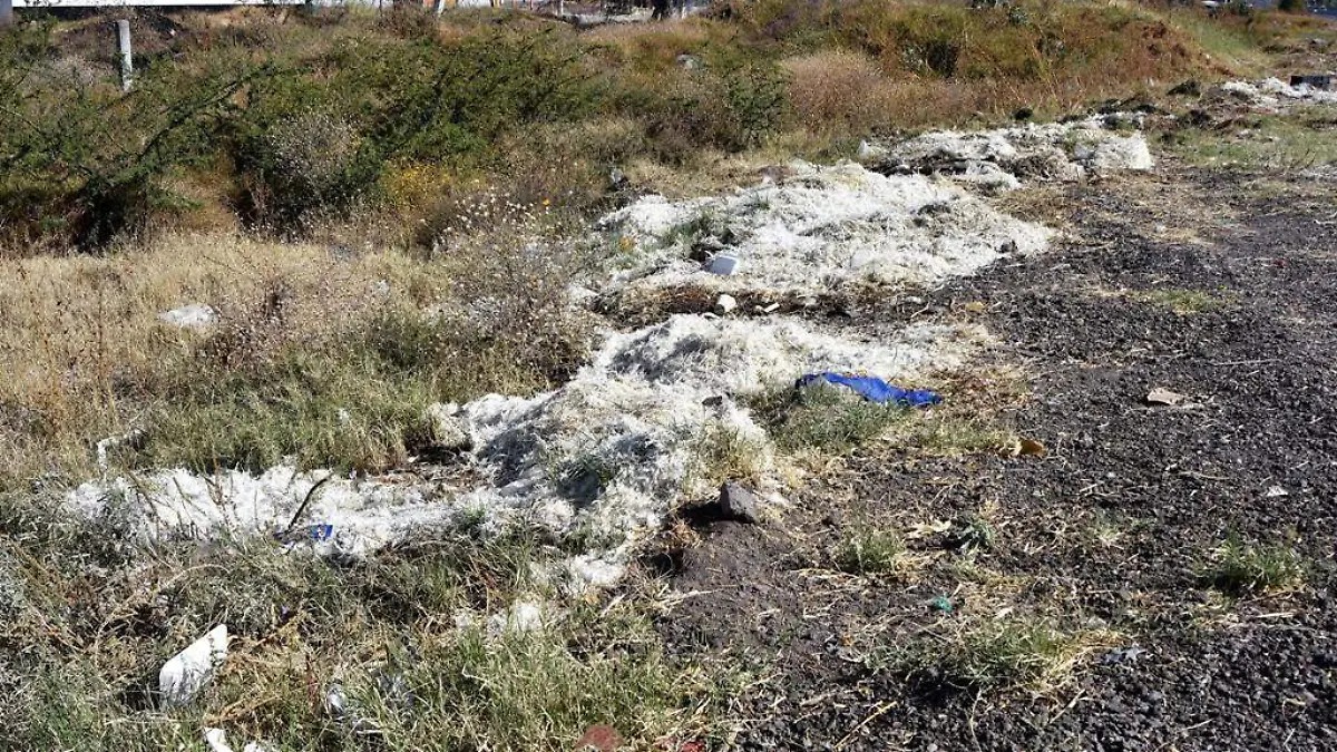 Tiran viseras y plumas cerca de colonia en la zona sur  1