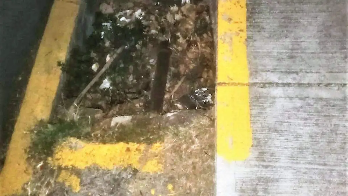 Registros-sin-tapas-2-ok