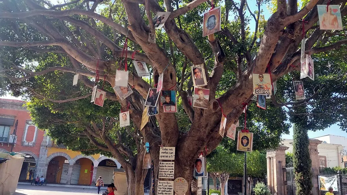 Arbol (4)