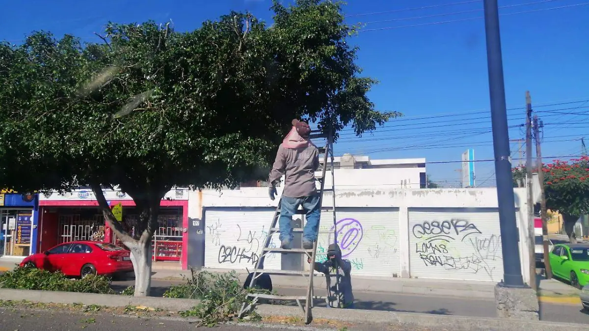 CONTINÚA MANTENIMIENTO EN AREA VERDES
