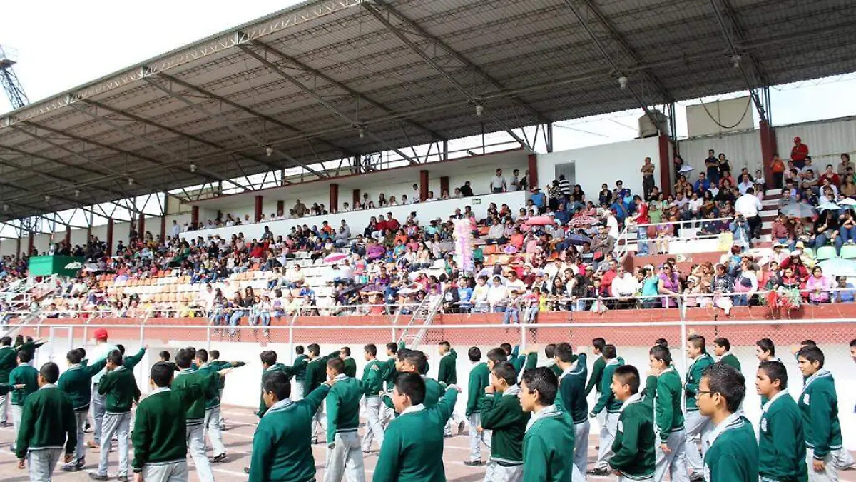 DESFILE (3)