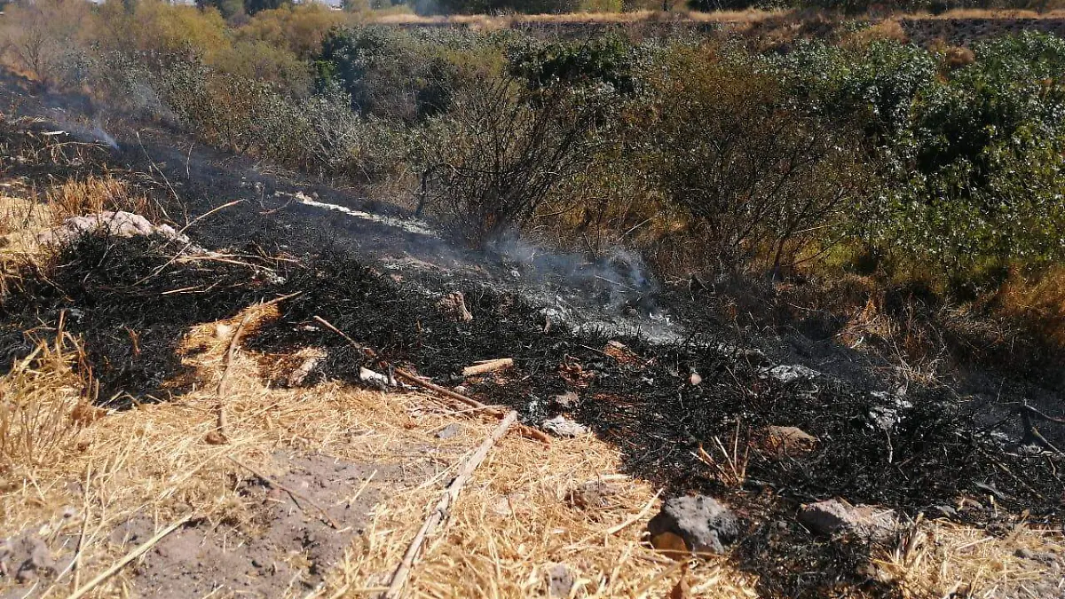 Ante los constantes incendios 1