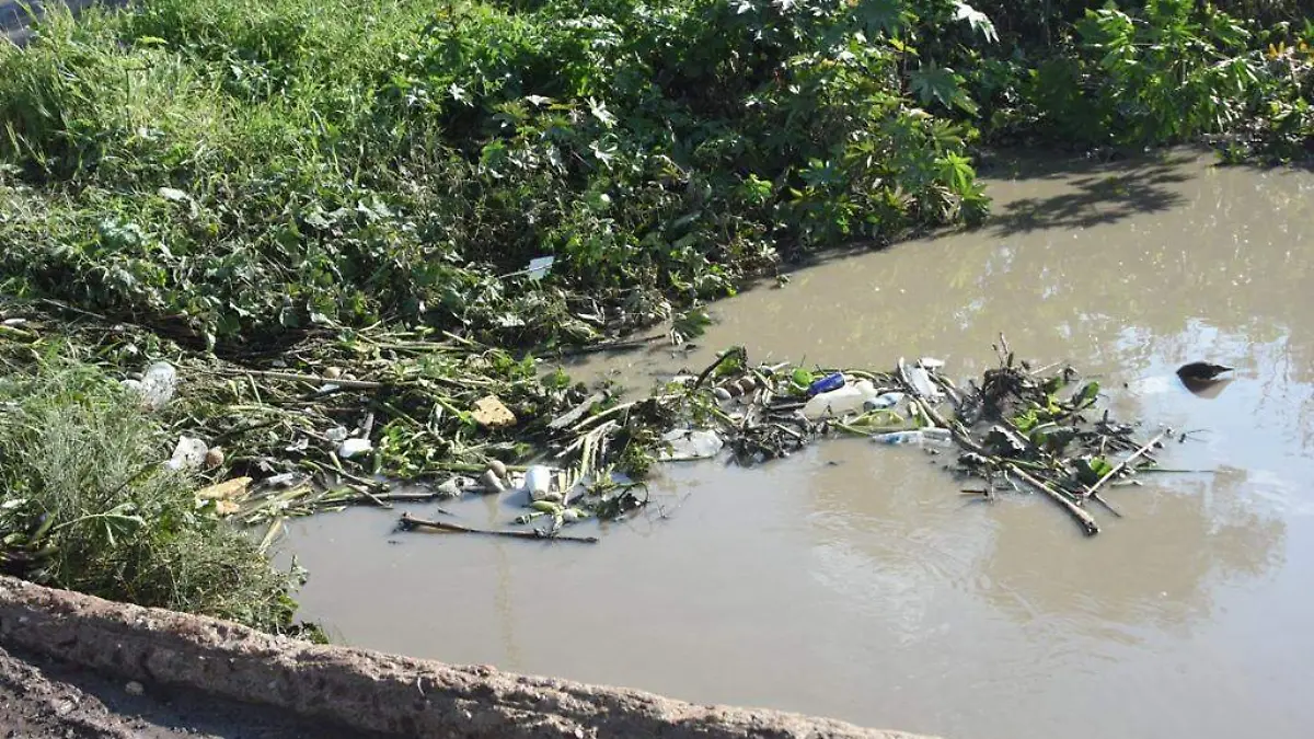 PROLIFERAN TIRADEROS DE BASURA EN TEMPORADA DE LLUVIAS 1
