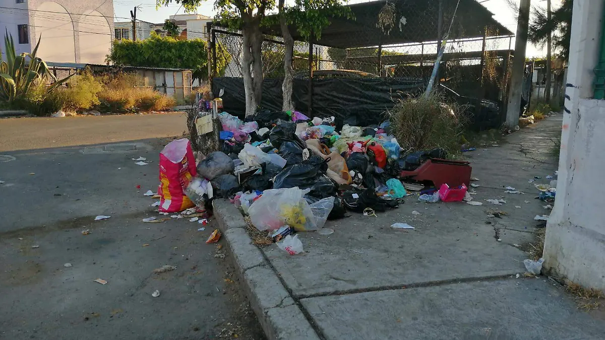 Llena de basura la colonia Primavera  1