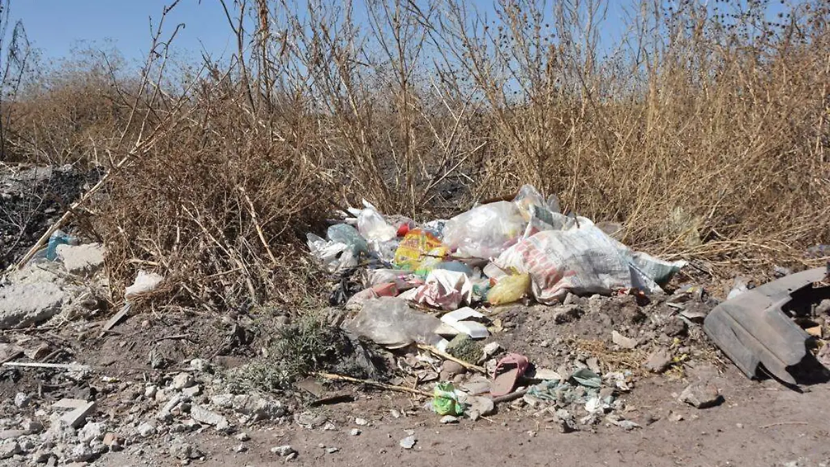 URGEN MULTAS POR TIRAR BASURA 2