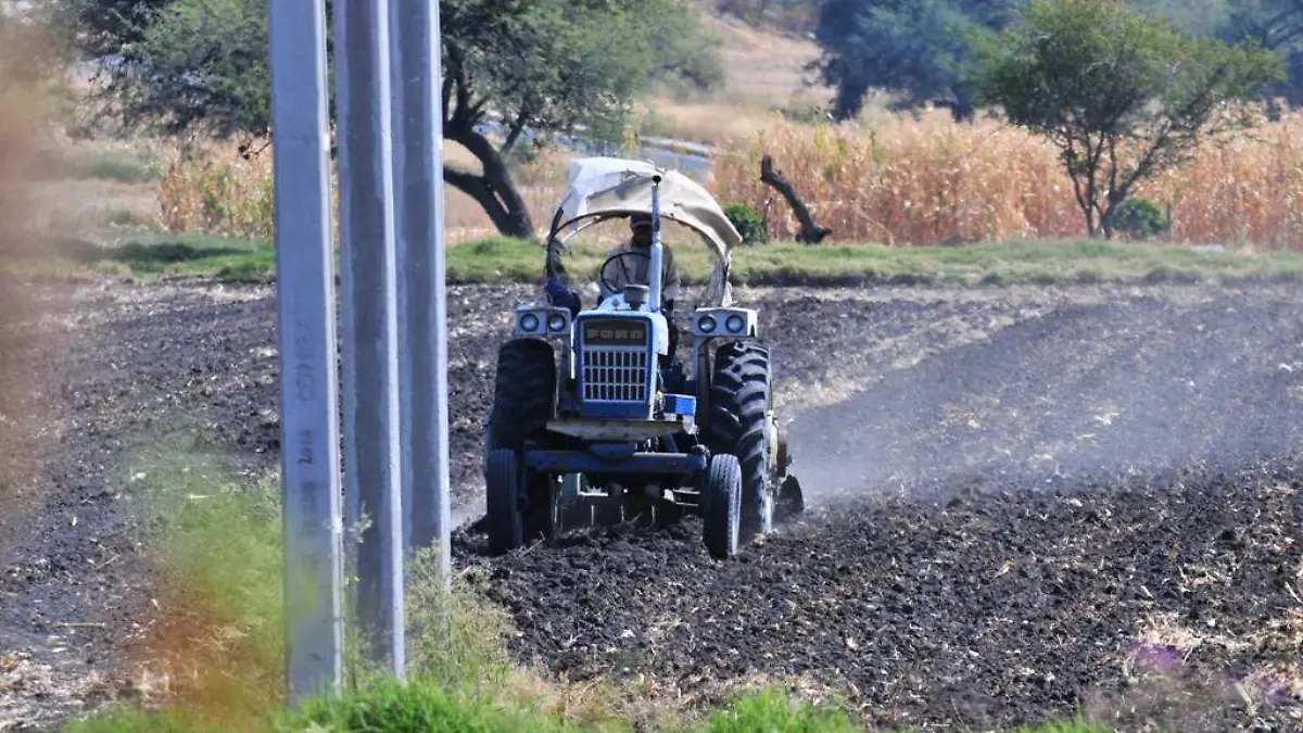 Beneficiarán-agricultores (2)