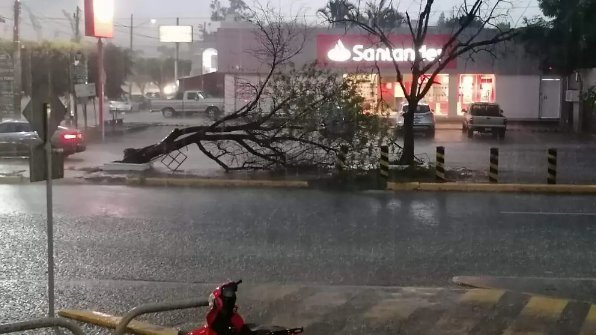 lluvia-genera-inundacione (1)