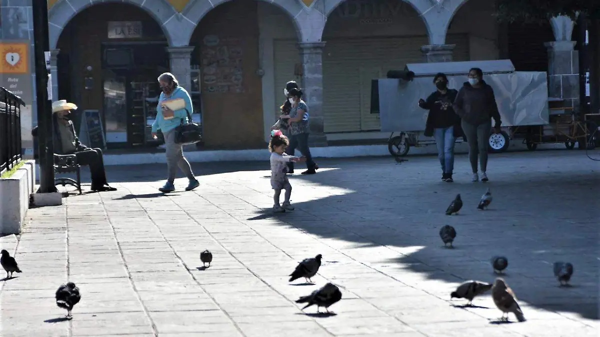 SUFRE ZONA CENTRO POR INSEGURIDAD 4