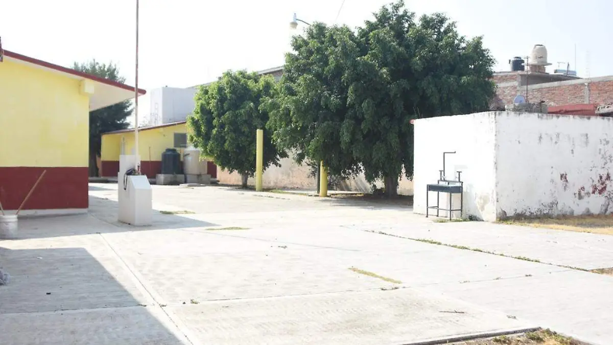 SIN SOLICITUDES PARA PODAR ÁRBOLES EN ESCUELAS 2