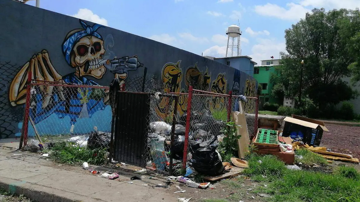 CONTINÚAN-PROBLEMAS-DE-BASURA-EN-COLONIA-PRIMAVERA I 3 (4)