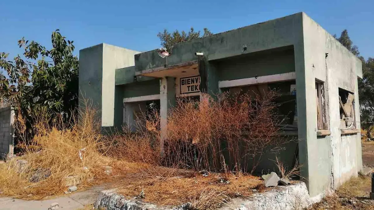 BUSCARÁN-QUE-SE-PONGA-ORDEN-EN-MATERIA-AMBIENTAL