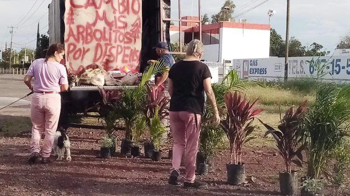 729c5dda-aa5a-4e6d-b9d3-2604da069644