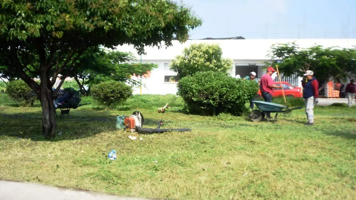 LIMPIAN BULEVAR SAN PEDRO (1)