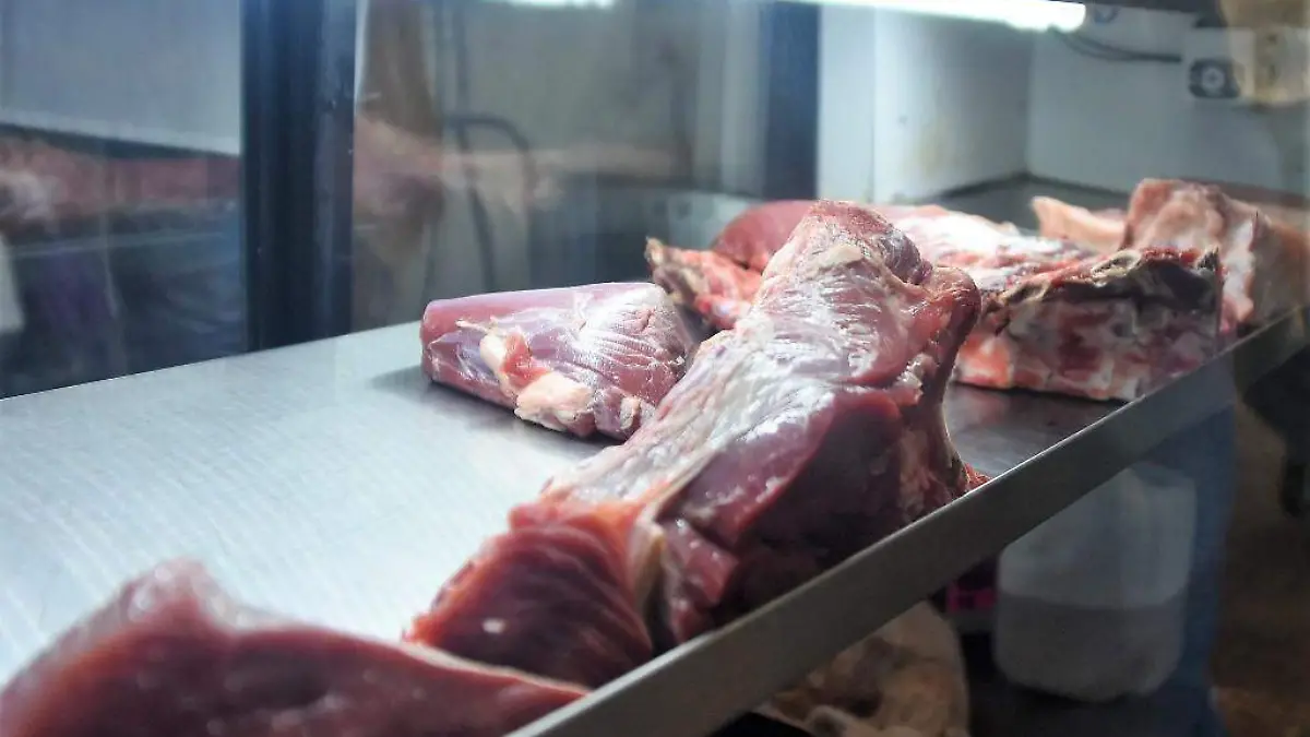carne (2)