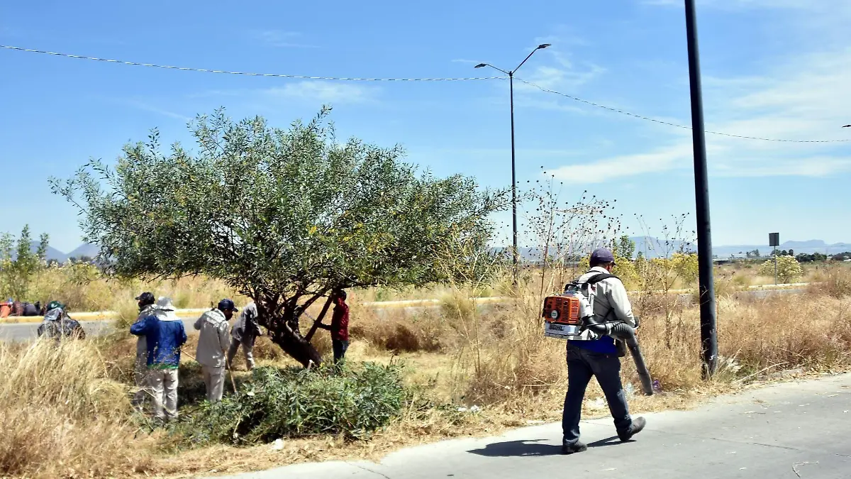 MANTIENEN TRABAJOS DE LIMPIEZA (1)