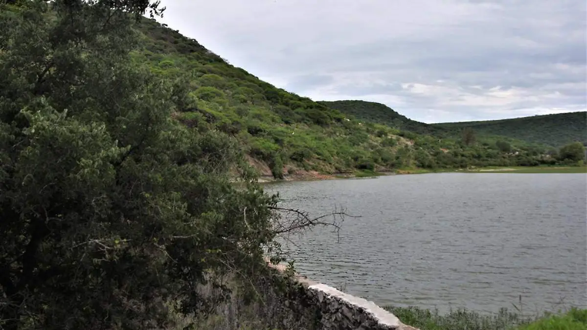 Presas-en-Salamanca (2)