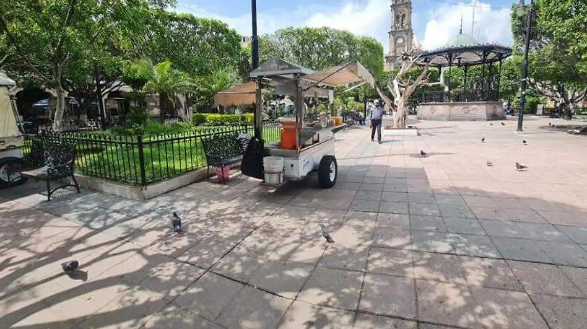 Piden-apoyo-para-encontrar-puesto (2)