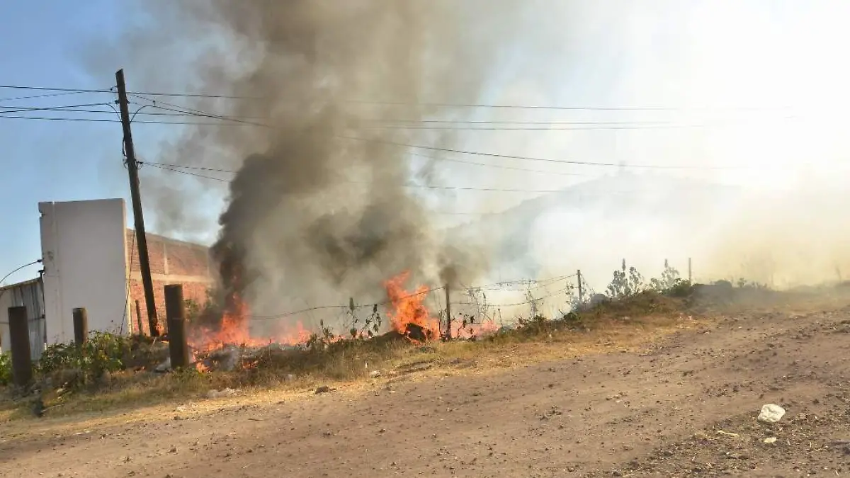 Trabajaran desde el Ayuntamiento para cuidar la calidad del aire  2
