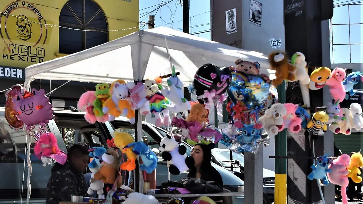 Esperan-mejorar-los-ingresos 