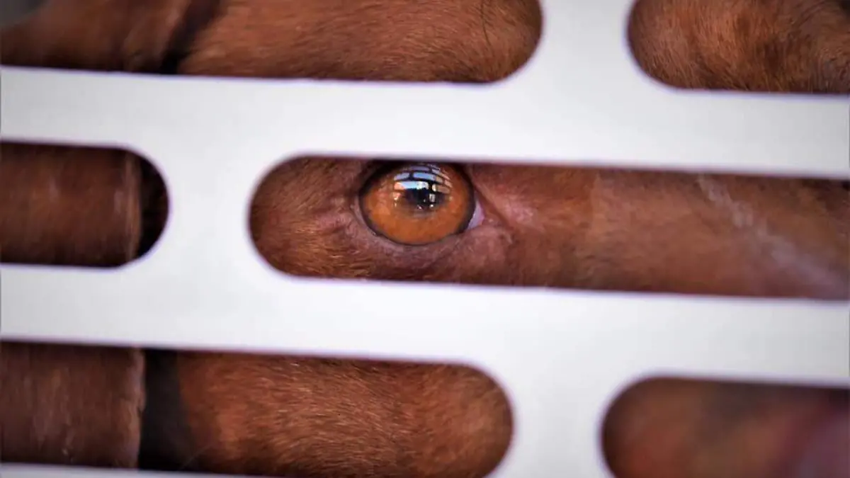 Centro-de-Control-está-funcionando